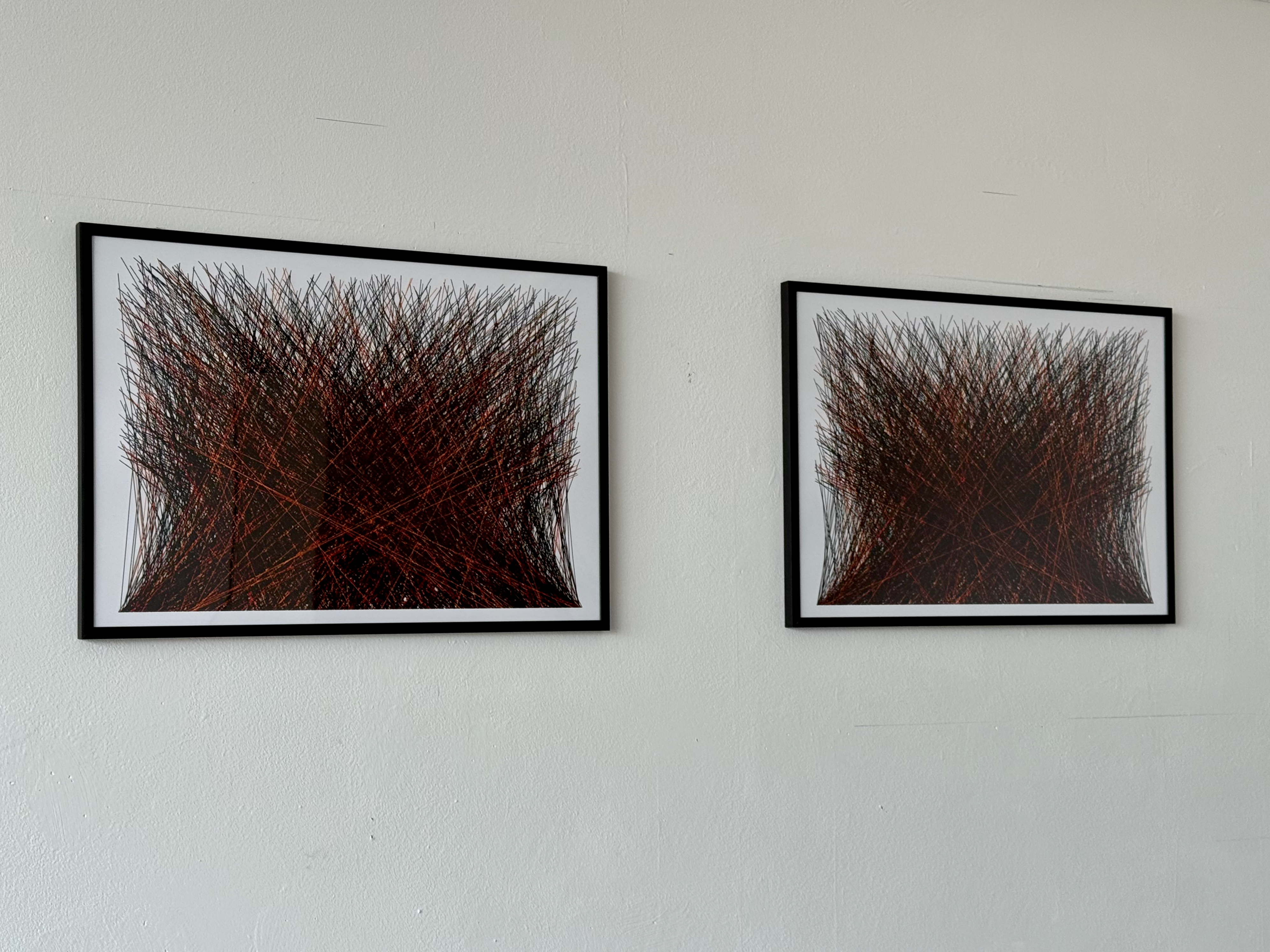 Philip Bradshaw, 2500 lines, blacks plus Darkorange and Orangered, vertical Xs  - diptych, 2024